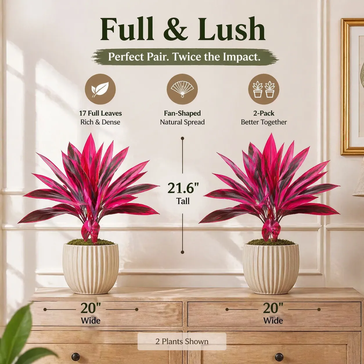 2‑Pack 21.6" Artificial Cordyline Plant - 图片 4